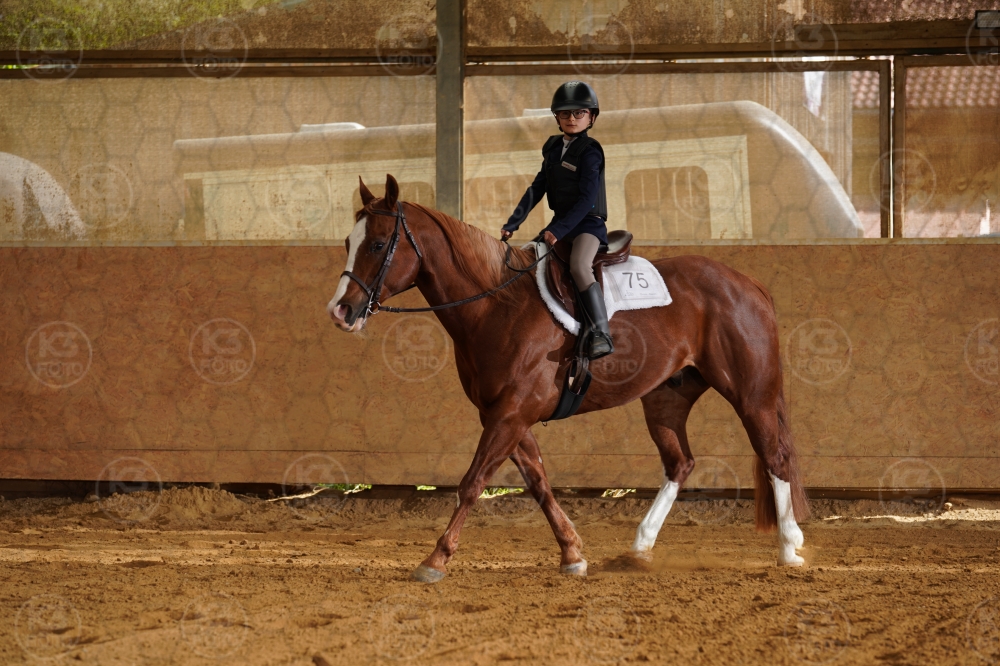 s_A9_03059.jpg